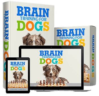Brain Training for Dogs Reviews