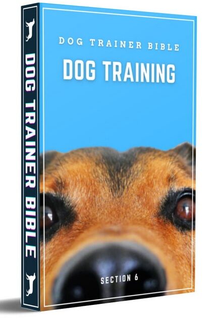 Dog-Trainer-Bible-reviews